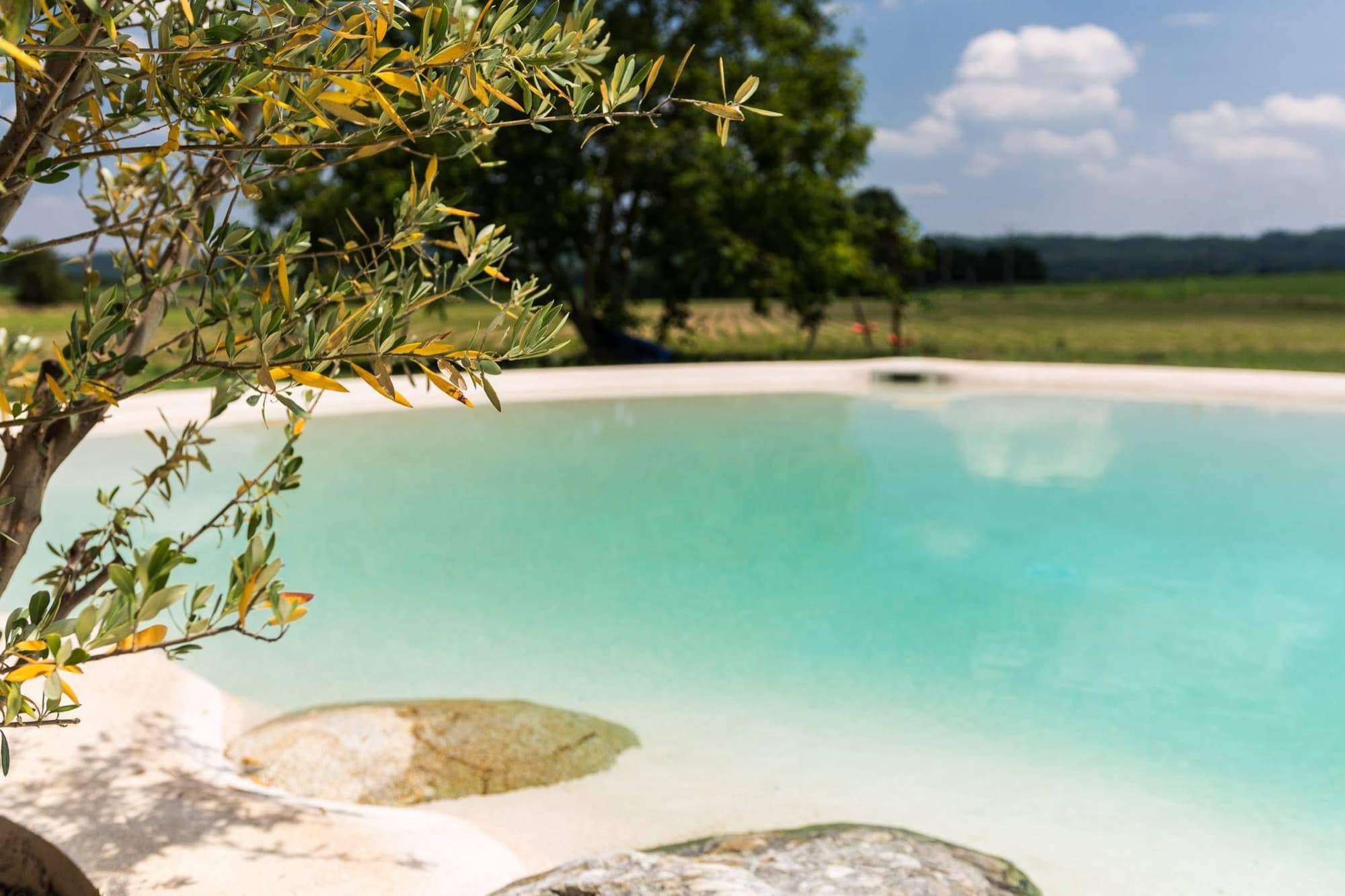 Eau turquoise d'un bassin naturel, branche d'olivier au premier plan