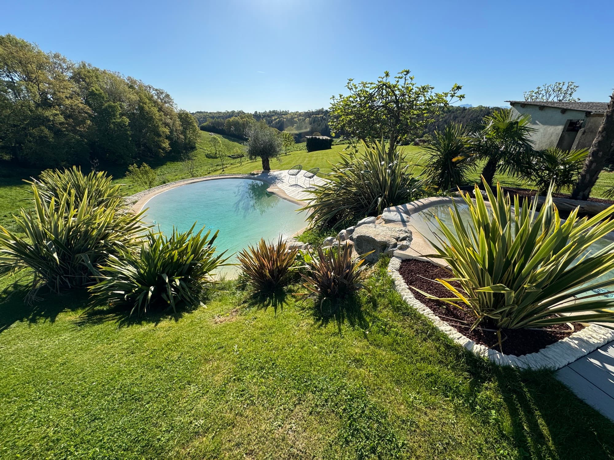 Piscine naturelle paysagère sur un terrain vallonné, plantations de graminées