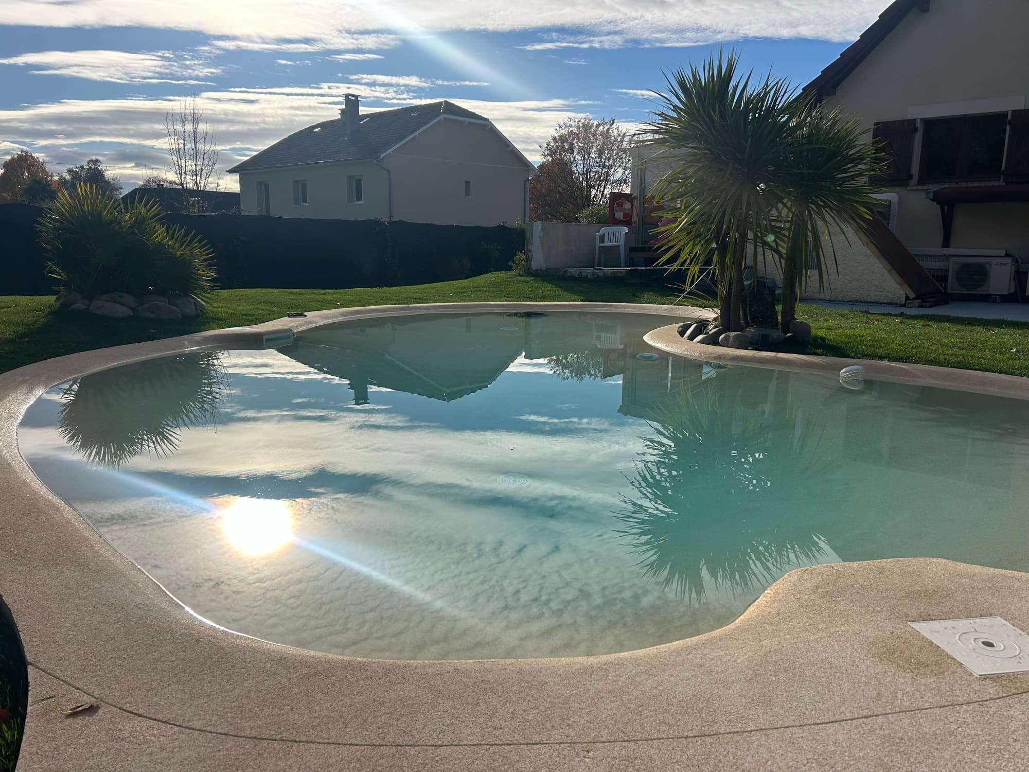 Piscine naturelle de jardin résidentiel avec palmier